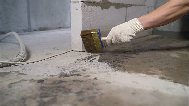 SJ Waterproofing Pros Exterior Waterproofing coverage map for Daviston, AL and surrounding area